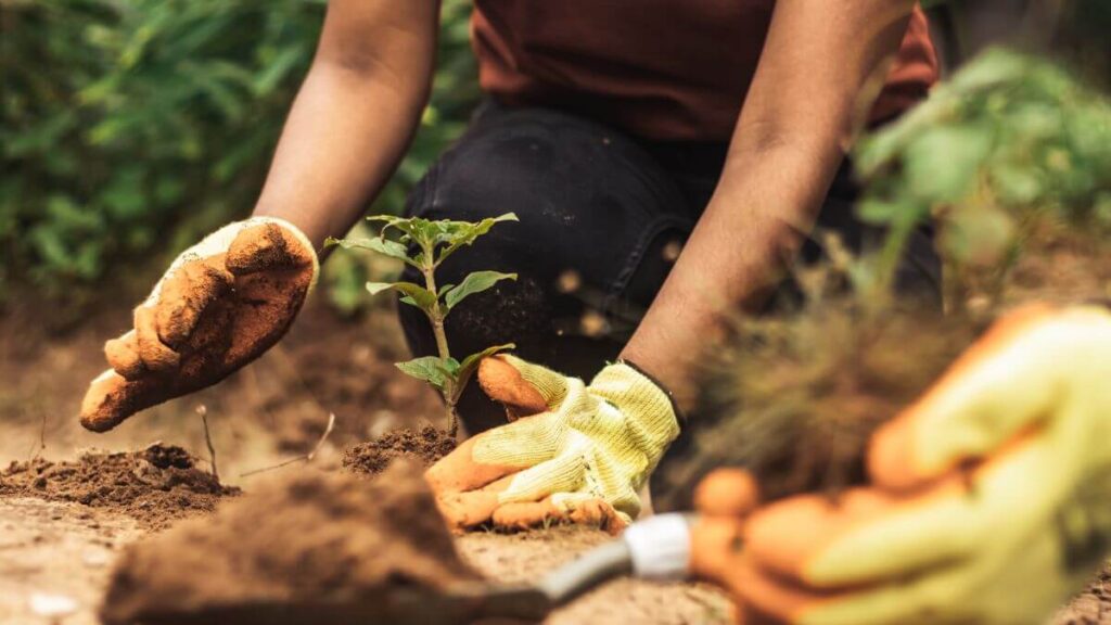 Benefícios das Atividades sobre Meio Ambiente para Alunos do 7º Ano