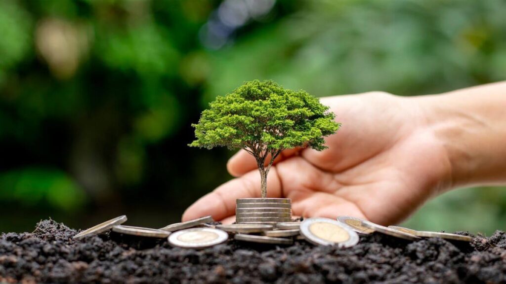 Como Implementar um Projeto Sustentabilidade e Meio Ambiente Eficaz