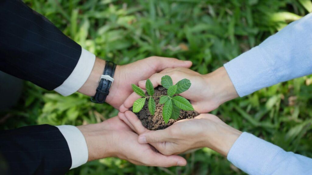 Ferramentas e Tecnologias para Otimizar Projetos Sustentáveis