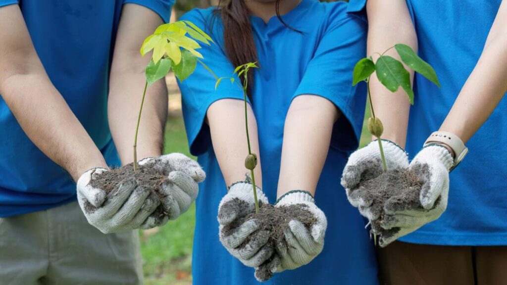 Guia Prático Como Implementar Atividades sobre Meio Ambiente no 7º Ano