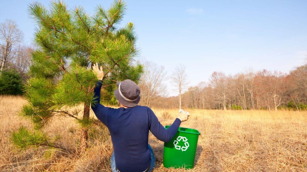 O Que São Atividades sobre Meio Ambiente para o 7º Ano