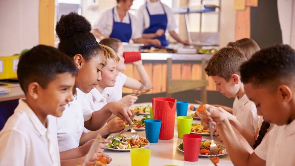 Principais Benefícios da Educação Ambiental Escolar