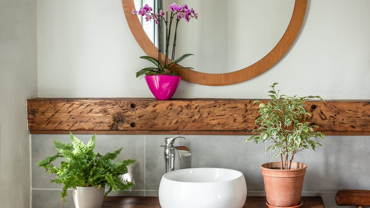 Plantas Banheiro