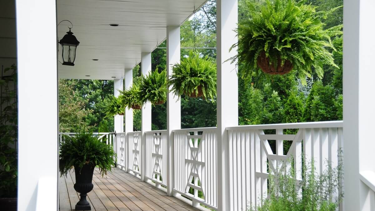 Plantas que gostam de sol na varanda