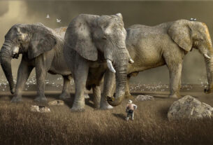 Atividades sobre Meio Ambiente