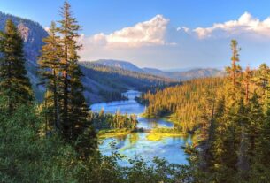 Meio Ambiente Como Cuidar
