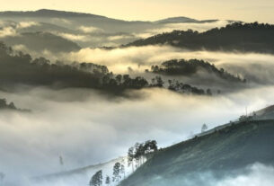 Meio Ambiente Definição