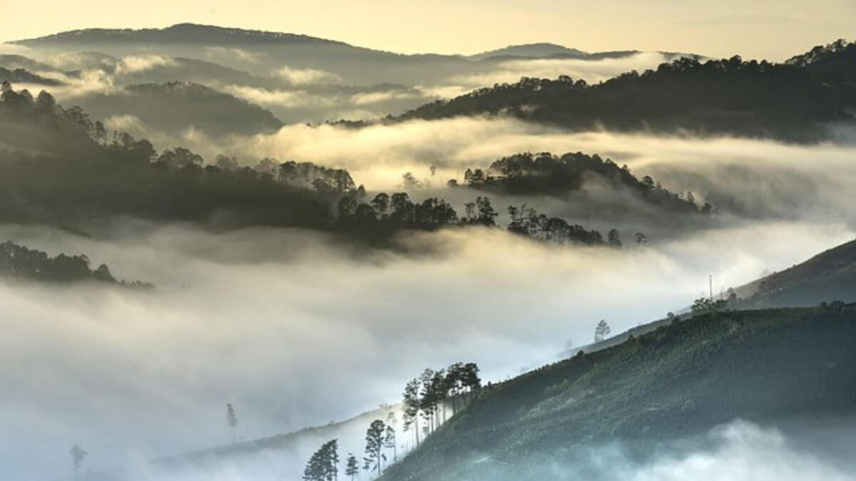 Meio Ambiente Definição