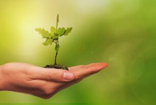 Meio Ambiente Preservado