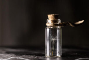 Meio Ambiente Reciclagem