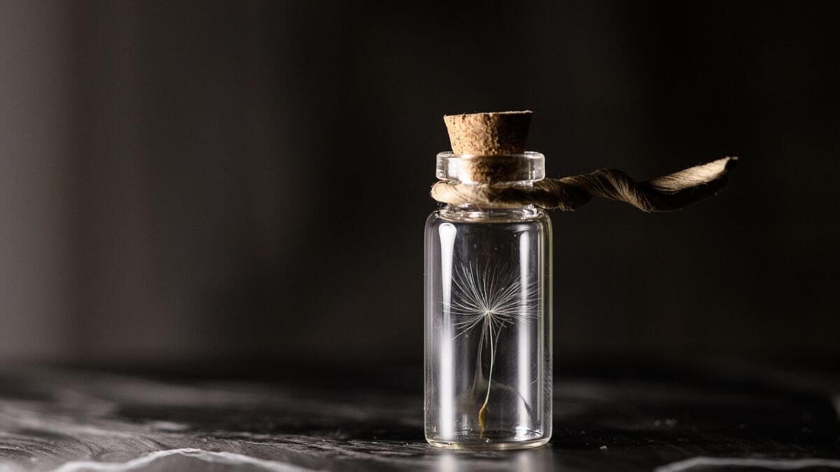 Meio Ambiente Reciclagem