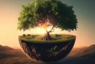 Meio Ambiente Sustentabilidade