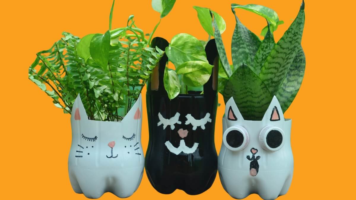 Artesanato com Garrafa PET