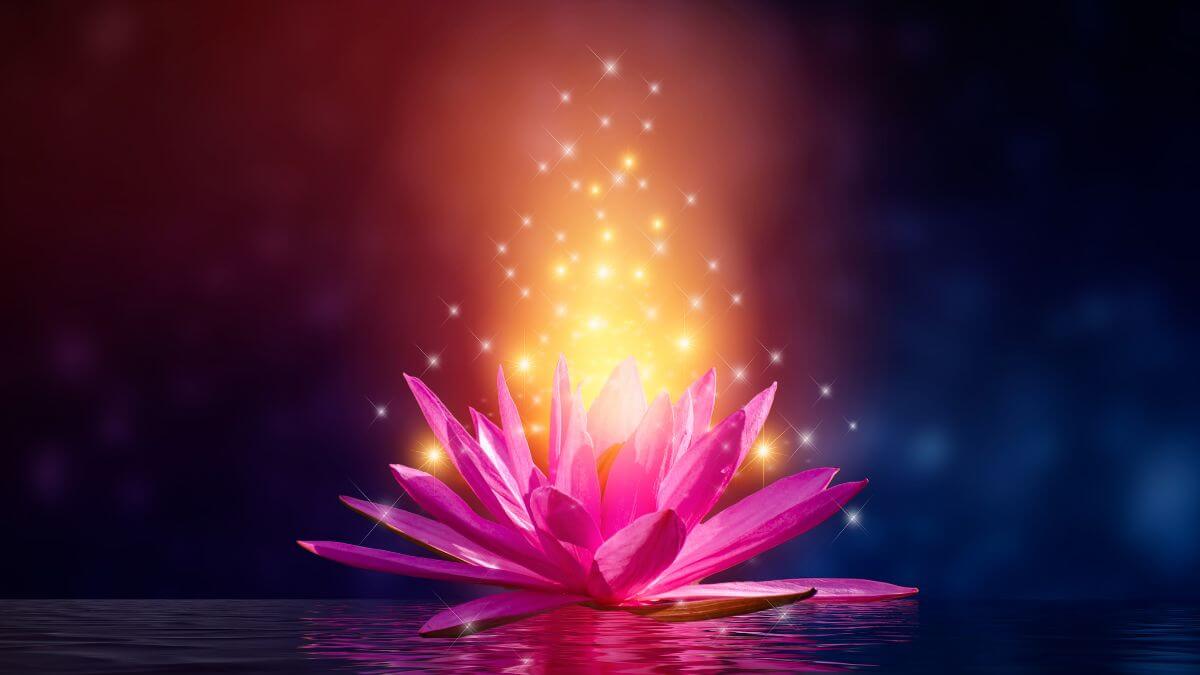 Significado-da-flor-de-lótus