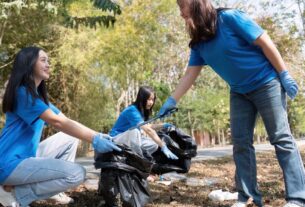 Atividades sobre meio ambiente 7 ano