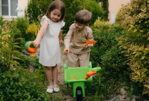 Meio ambiente na educação infantil