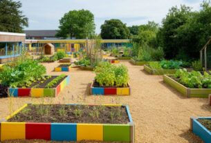 Meio ambiente na escola