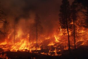Meio-ambiente-queimadas